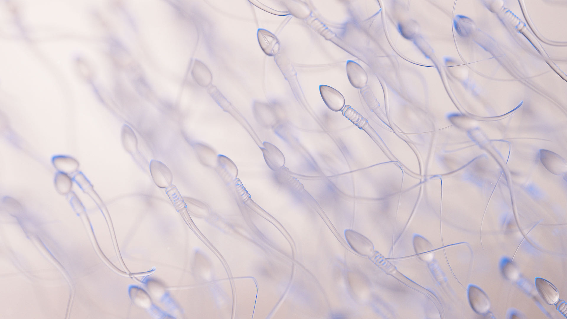 сперма в малолетке во влагалище фото 75